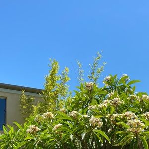 Meet your Posher, Ivy